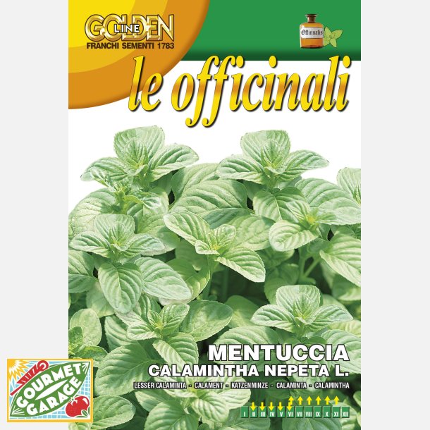 Stenkyndel (Mentuccia calamintha nepeta)