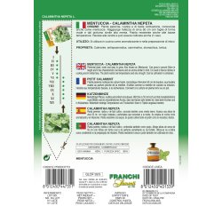 Stenkyndel (Mentuccia calamintha nepeta)