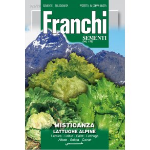 Alpin sallatsmix MISTICANZA DI LATTUGHE ALPINE (Franchi)