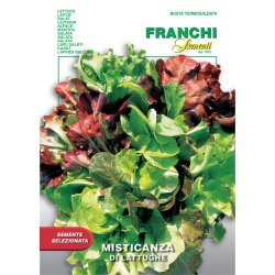 Mixsallat Misticanza di lattughe - STORPACK