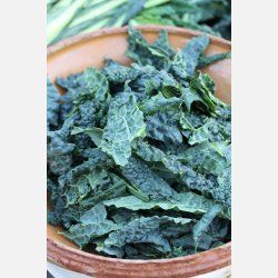 Svartk�l NERO DI TOSCANA 