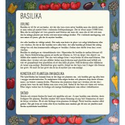 Basilika DARK OPAL (VIOLETTO AROMATICO) - STORPACK