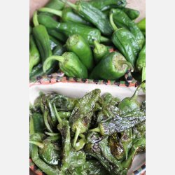 PIMIENTO DE PADRN - Finns i Chilimixen!