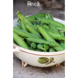 rta Piccolo Provenzale - STORPACK