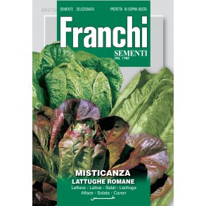 Romansallatmix (Misticanza lattughe romane)
