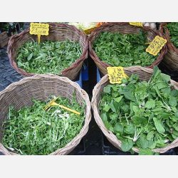 Spenat VIROFLAY (Franchi)