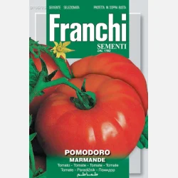 Tomat MARMANDE (Franchi)