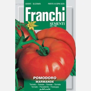 Tomat MARMANDE (Franchi)
