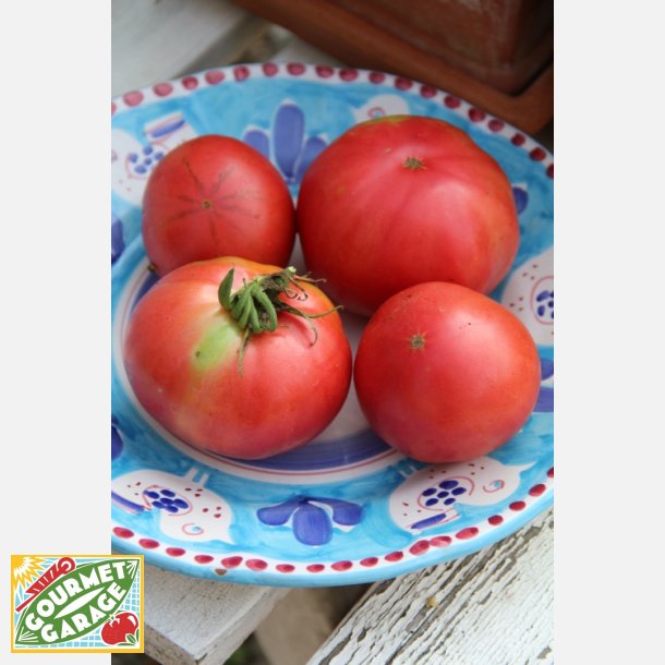 Tomat Sorent (Sorrento) - en tomatsort fra Amalfi-kusten