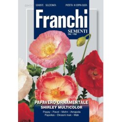 Vallmo Shirley multicolor 