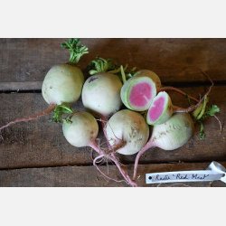 Vattenmelonr�ttika RED MEAT (Beauty heart)