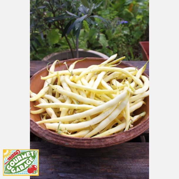 Vaxb�na DR. BECKER NR. 18 - Ekologiska fr�er