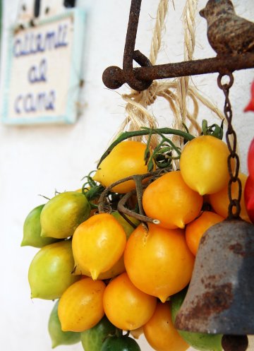 PIENNOLO- OCH VINTERTOMATER