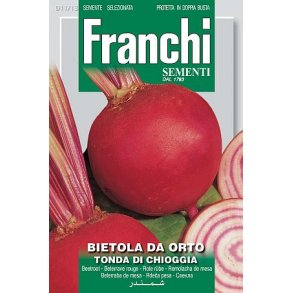 Rdbeta TONDA DI CHIOGGIA  