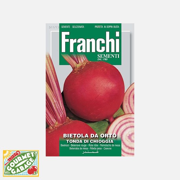 Rdbeta (Bietola da orto) Tonda di Chioggia 