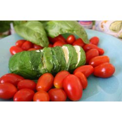 Basilika LARGO DOLCE PER VASI - STORPACK 