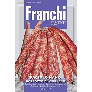 BORLOTTO DI VIGEVANO (Franchi) 