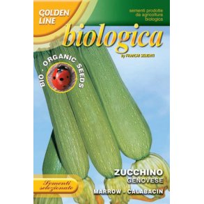 Zucchini Genovese ekologiska frer - STORPACK