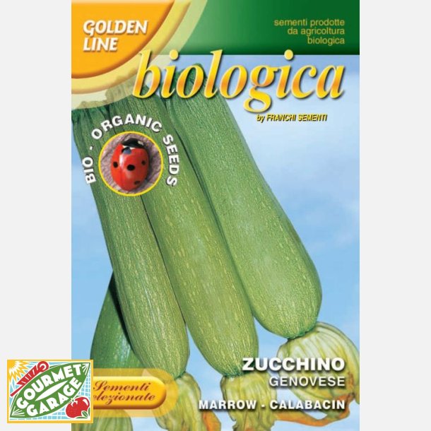 Zucchini Genovese ekologiska frer - STORPACK