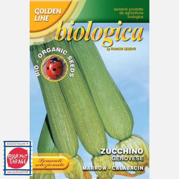 Zucchini Genovese ekologiska fröer 