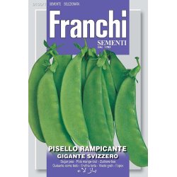 Socker�rt GIGANTE SVIZZERO CAROUBY (Franchi)