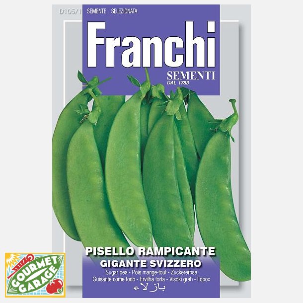 Sockerrt Gigante Svizzero/Carouby - STORPACK